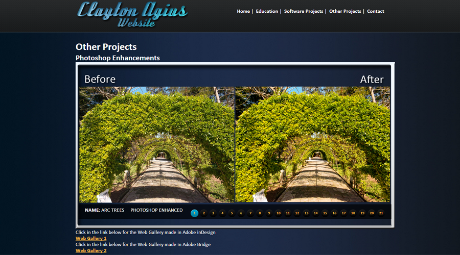 Other Projects
