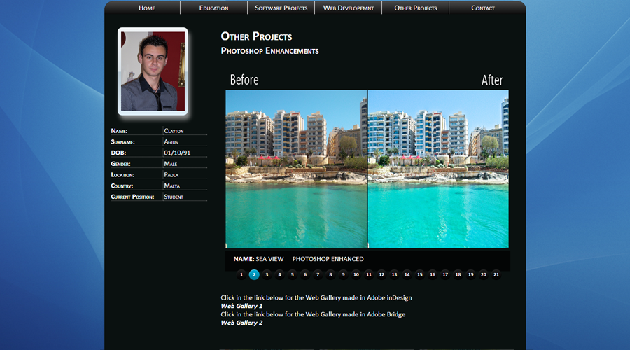 Other Projects