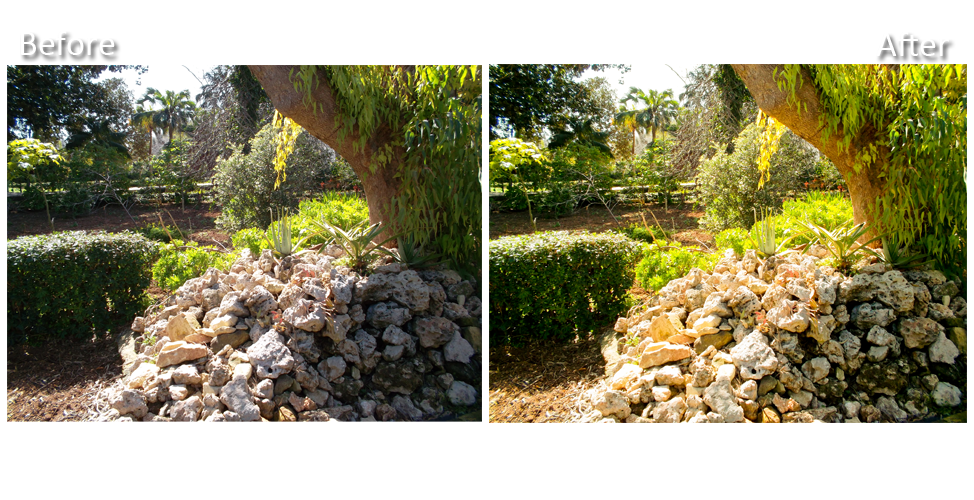 Trees and Rocks